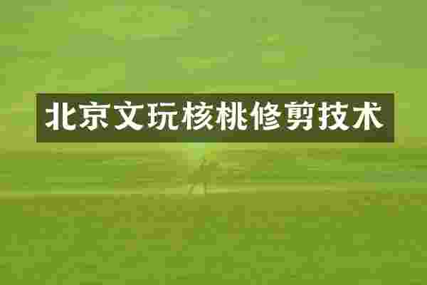北京文玩核桃修剪技术