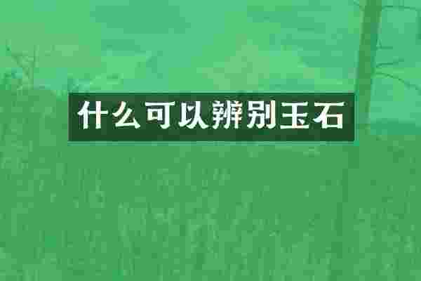 什么可以辨别玉石