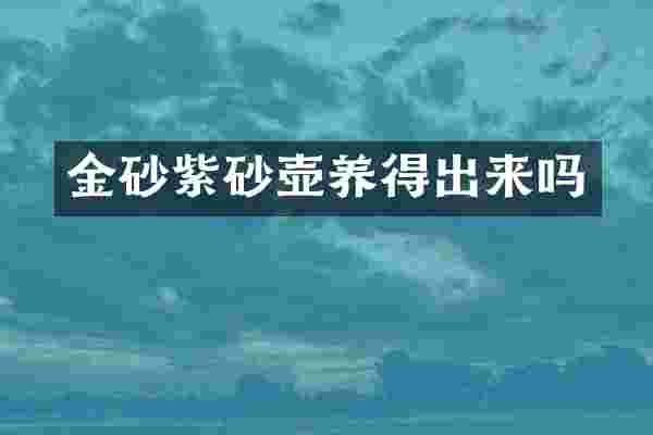 金砂紫砂壶养得出来吗