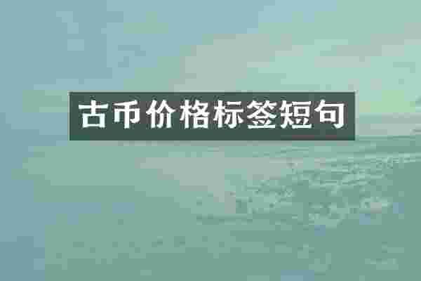 古币价格标签短句