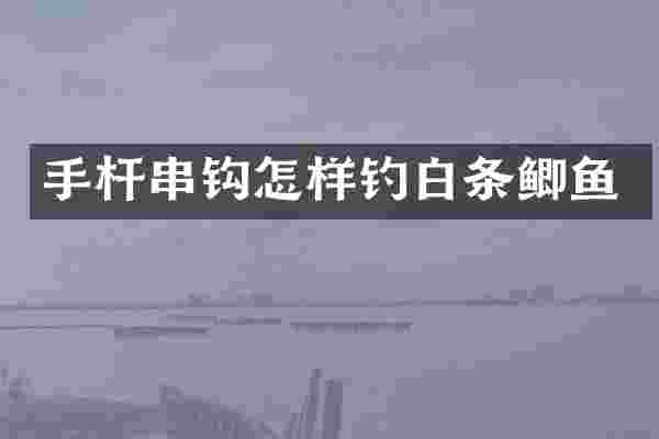 手杆串钩怎样钓白条鲫鱼
