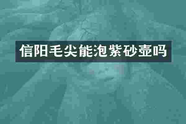 信阳毛尖能泡紫砂壶吗