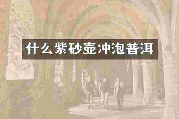 什么紫砂壶冲泡普洱