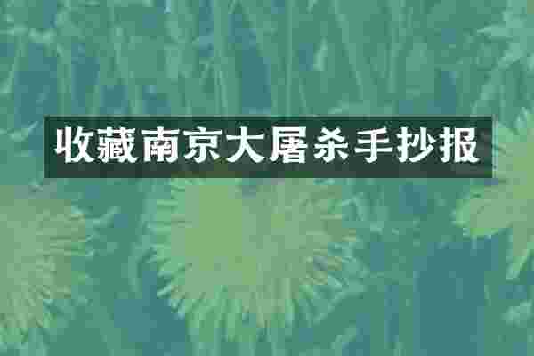 收藏南京杀手抄报