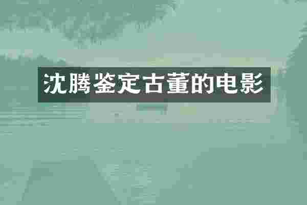 沈腾鉴定古董的电影