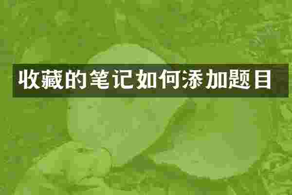 收藏的笔记如何添加题目