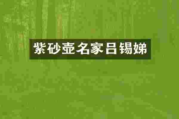 紫砂壶名家吕锡娣