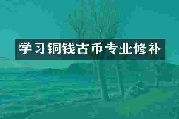 学习铜钱古币专业修补