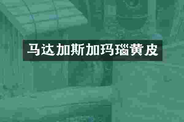 马达加斯加玛瑙黄皮