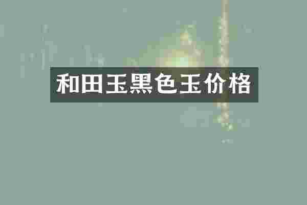 和田玉黑色玉价格