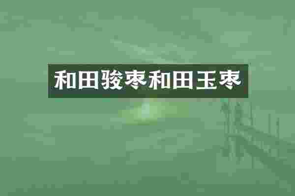 和田骏枣和田玉枣
