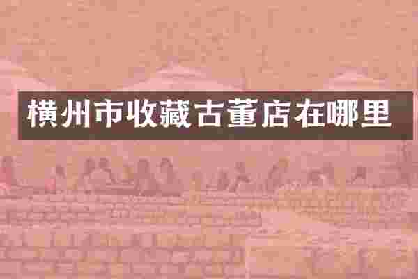 横州市收藏古董店在哪里