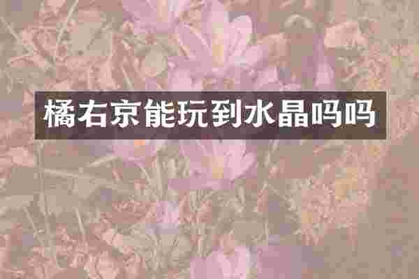 橘右京能玩到水晶吗吗