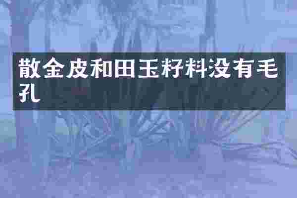 散金皮和田玉籽料没有毛孔