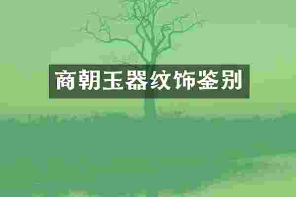 商朝玉器纹饰鉴别