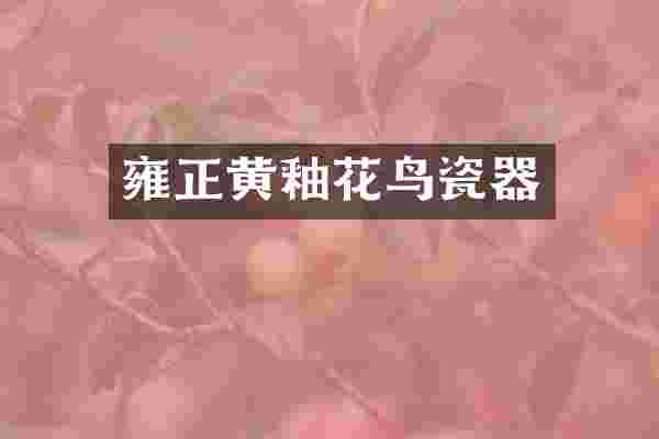 雍正黄釉花鸟瓷器
