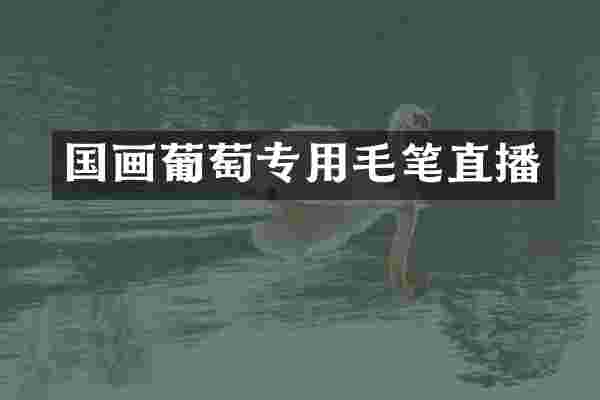 国画葡萄专用毛笔直播