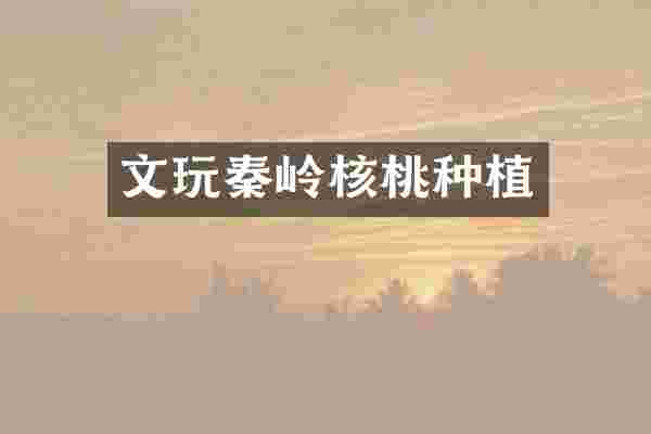 文玩秦岭核桃种植