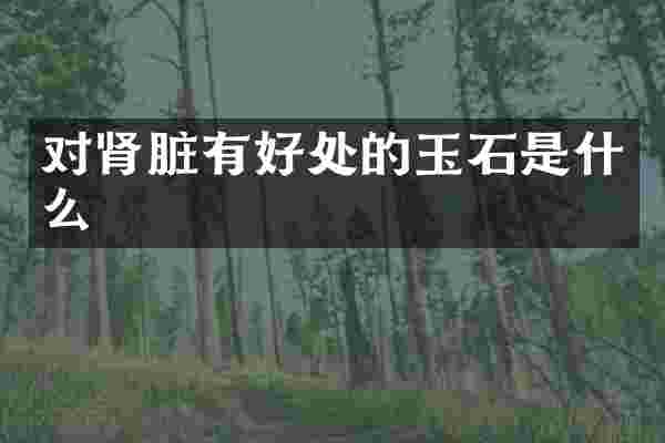 对肾脏有好处的玉石是什么