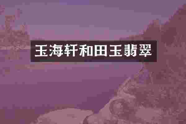 玉海轩和田玉翡翠