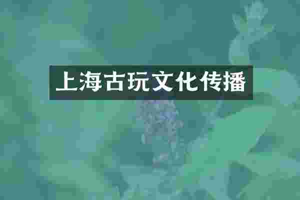 上海古玩文化传播