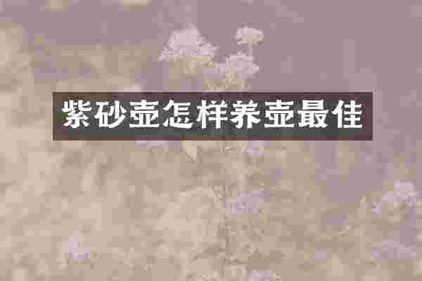 紫砂壶怎样养壶最佳