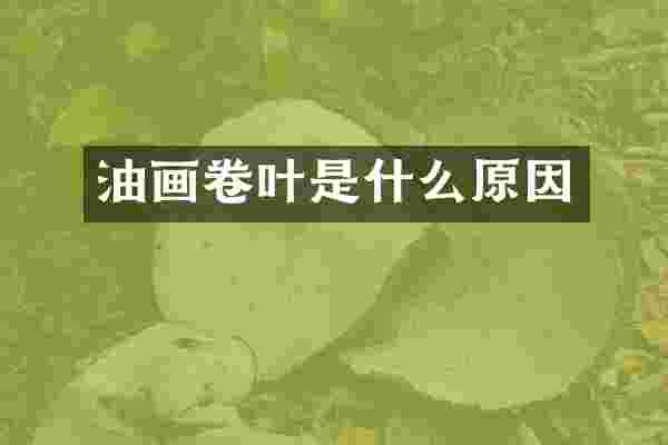 油画卷叶是什么原因