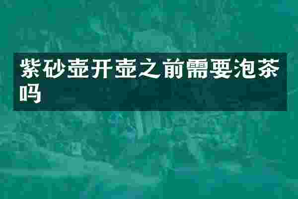 紫砂壶开壶之前需要泡茶吗