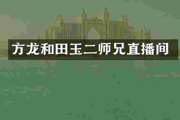方龙和田玉二师兄直播间