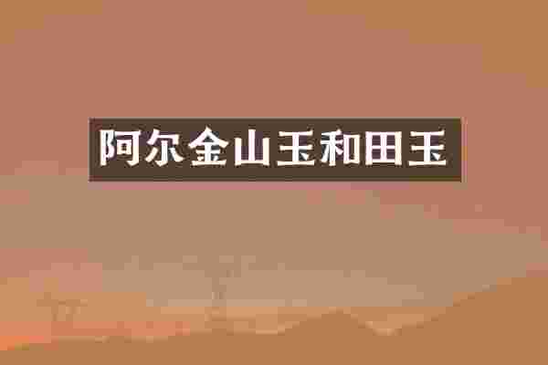 阿尔金山玉和田玉