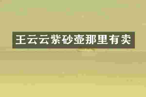 王云云紫砂壶那里有卖
