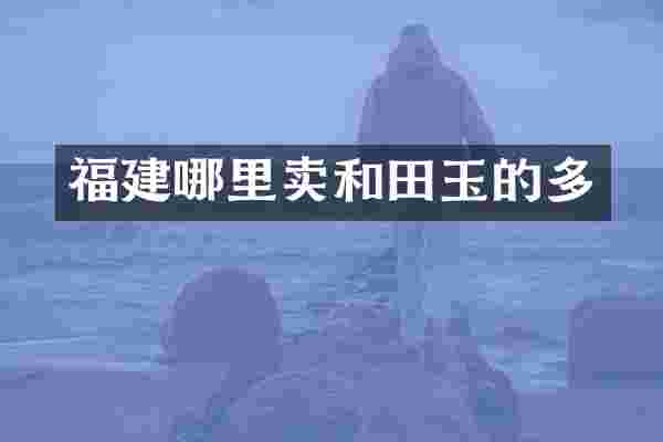 福建哪里卖和田玉的多