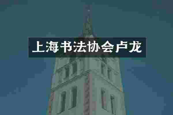 上海书法协会卢龙