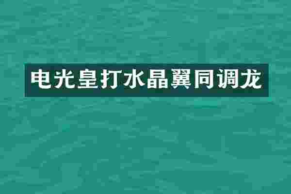 电光皇打水晶翼同调龙