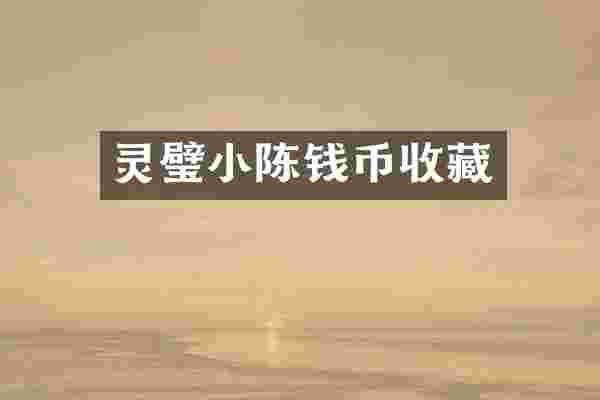 灵璧小陈钱币收藏