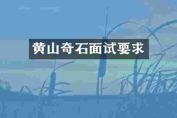 黄山奇石面试要求
