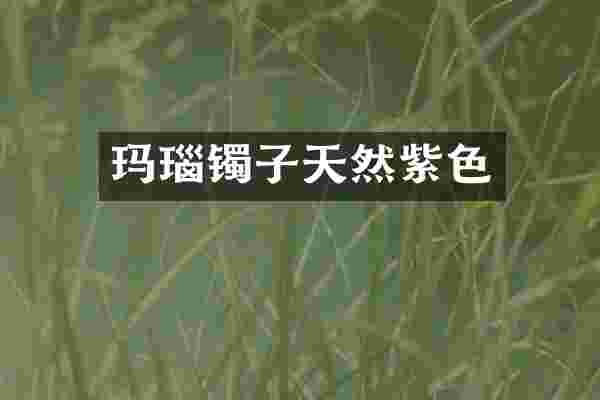 玛瑙镯子天然紫色