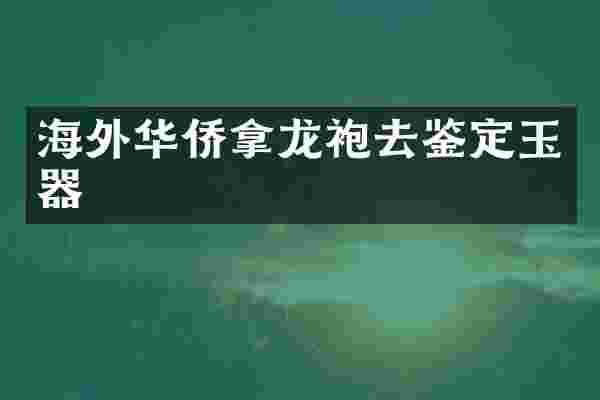 海外华侨拿龙袍去鉴定玉器