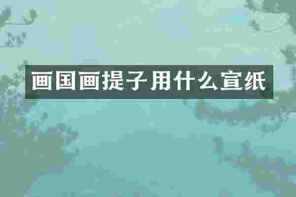 画国画提子用什么宣纸
