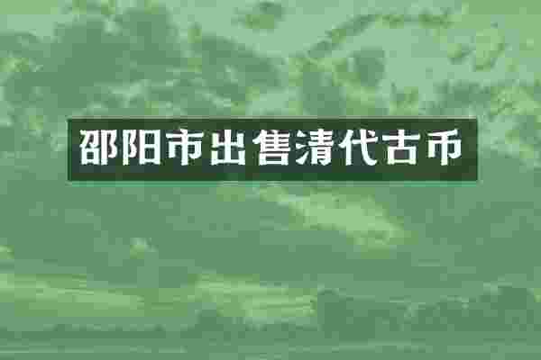 邵阳市出售清代古币