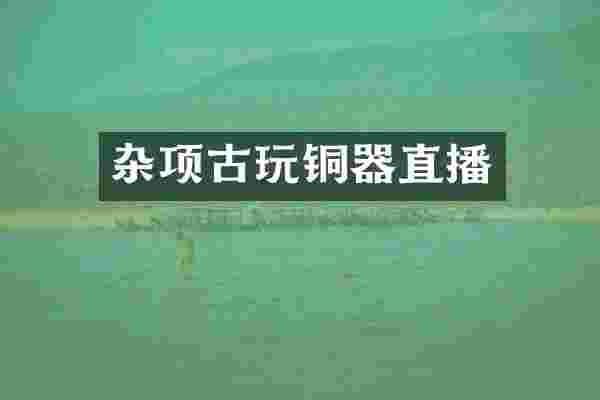 杂项古玩铜器直播