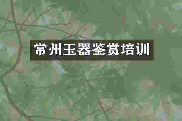常州玉器鉴赏培训