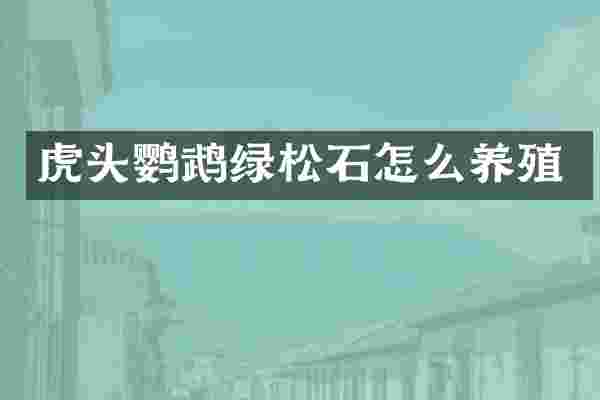 虎头鹦鹉绿松石怎么养殖