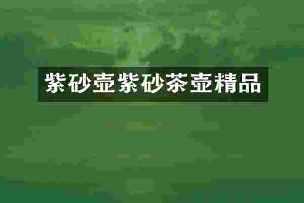 紫砂壶紫砂茶壶精品