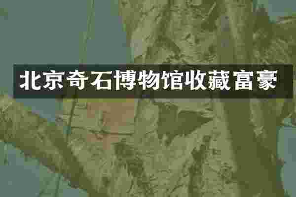 北京奇石博物馆收藏富豪