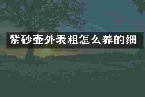 紫砂壶外表粗怎么养的细
