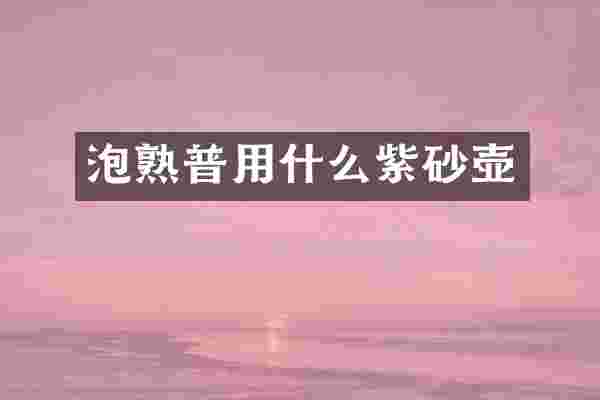 泡熟普用什么紫砂壶