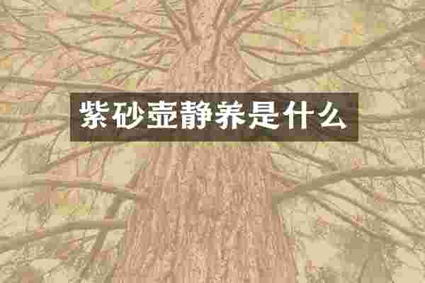 紫砂壶静养是什么