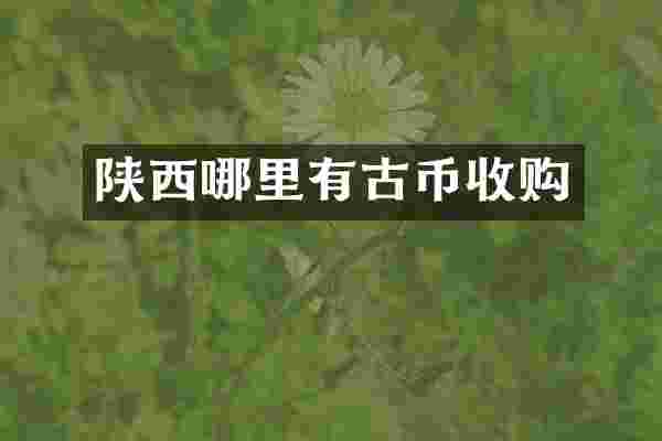 陕西哪里有古币收购
