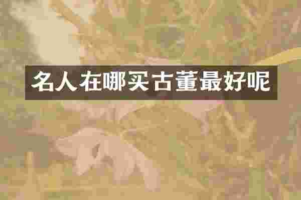 名人在哪买古董最好呢